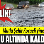 kocaeli sel su