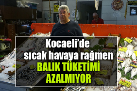 kocaeli sıcak balık