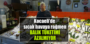kocaeli sıcak balık