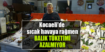 kocaeli sıcak balık