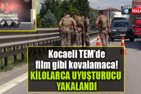 kocaeli tem