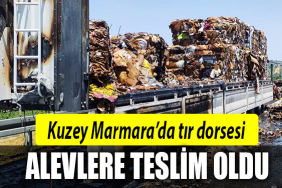 kocaeli tır dorsesi alevlere