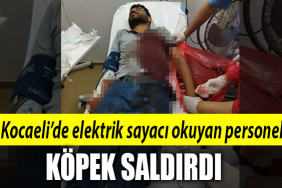 kocaelli köpek saldırısı