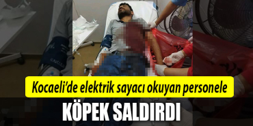 kocaelli köpek saldırısı