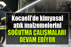 korkusuz yeni