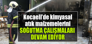 korkusuz yeni