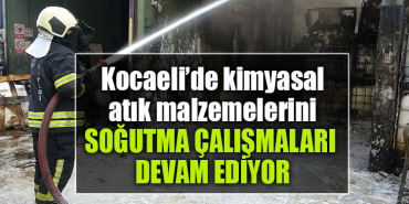 korkusuz yeni