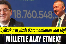 saadet tahir büyükakın