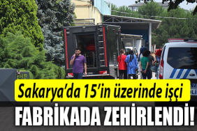 sakarya zehirlenme