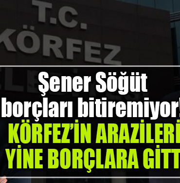 şener söğüt körfez borç