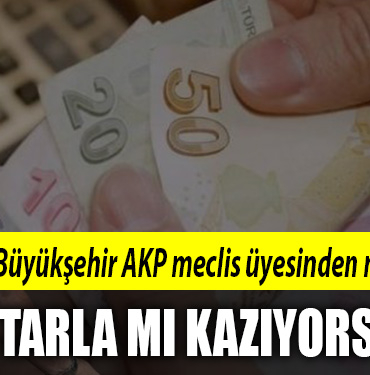 AKP KOCAELİ