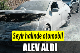 ALEV