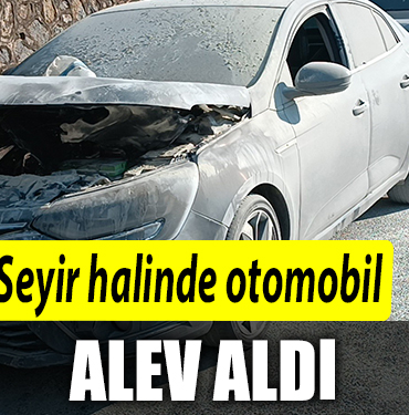 ALEV