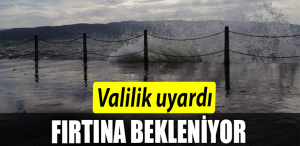 FIRTINAA