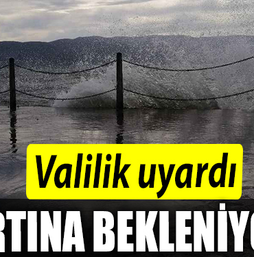 FIRTINAA