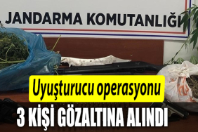 KİŞİ