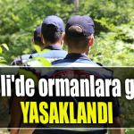 Kocaeli'de ormanlara girmek yasaklandı