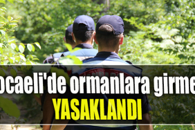 Kocaeli'de ormanlara girmek yasaklandı