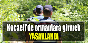 Kocaeli'de ormanlara girmek yasaklandı