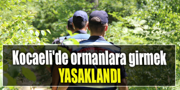 Kocaeli'de ormanlara girmek yasaklandı