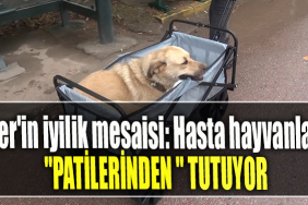 Ömer'in iyilik mesaisi Hasta hayvanların patilerinden tutuyor