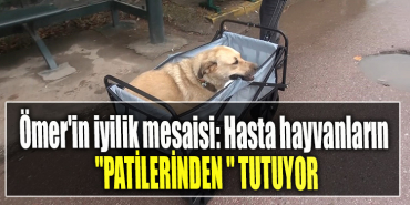 Ömer'in iyilik mesaisi Hasta hayvanların patilerinden tutuyor
