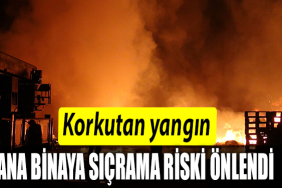 RİSK