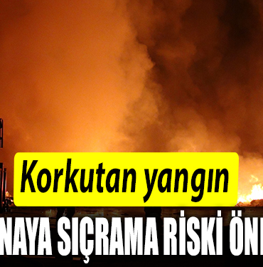 RİSK