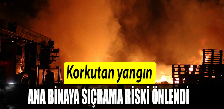 RİSK