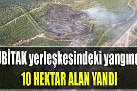 TÜBİTAK yerleşkesindeki yangında 10 hektar alan yandı