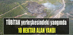 TÜBİTAK yerleşkesindeki yangında 10 hektar alan yandı