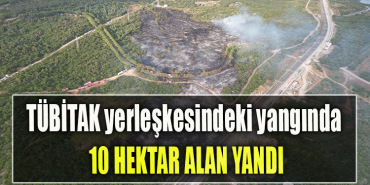 TÜBİTAK yerleşkesindeki yangında 10 hektar alan yandı