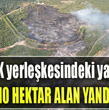 TÜBİTAK yerleşkesindeki yangında 10 hektar alan yandı