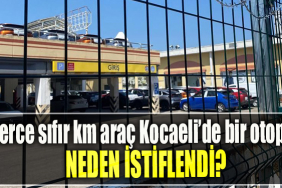 Yüzlerce sıfır km araç Kocaeli’de bir otoparka neden istiflendi