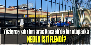 Yüzlerce sıfır km araç Kocaeli’de bir otoparka neden istiflendi