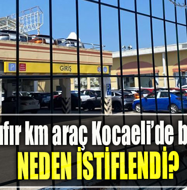 Yüzlerce sıfır km araç Kocaeli’de bir otoparka neden istiflendi
