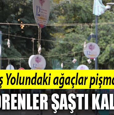 izmit pişmaniye