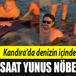kandıra yunusu