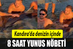 kandıra yunusu