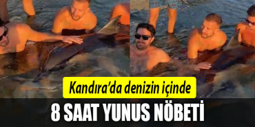 kandıra yunusu