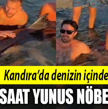 kandıra yunusu