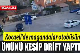 koacelşfdhg