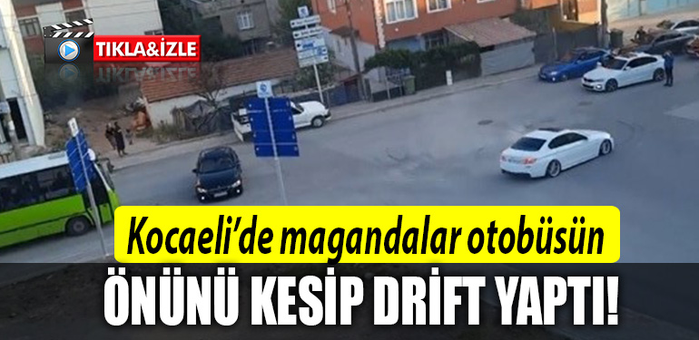koacelşfdhg