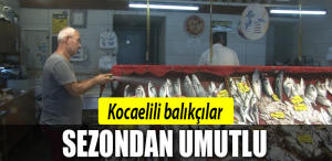 kocaeli balık