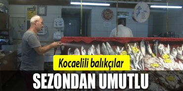 kocaeli balık