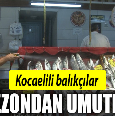 kocaeli balık