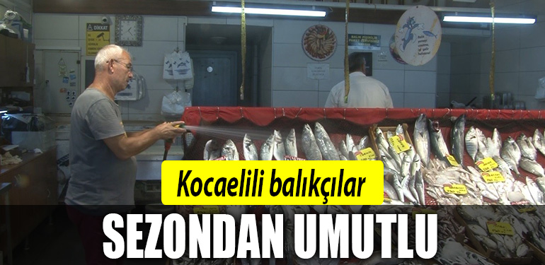 kocaeli balık