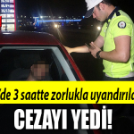 kocaeli ceza