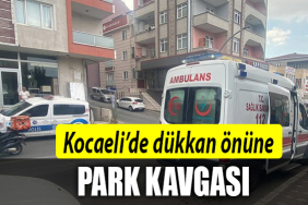 kocaeli dükkan park