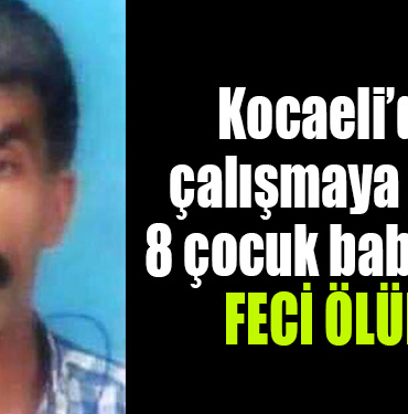 kocaeli feci kazasfdg